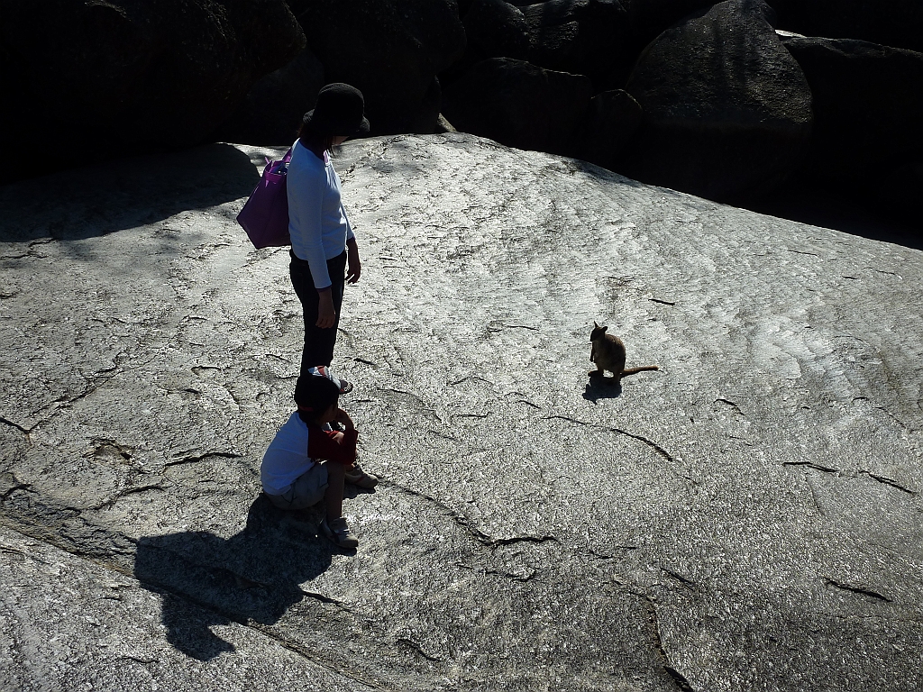 Granite Gorge 103.JPG